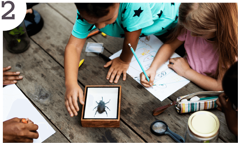 A small group of children gathers around a beetle specimen, drawing its habitat and sketching the bug as they study it with magnifying glasses. This image illustrates the second step - to explore.